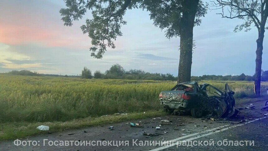 От машины остался только багажник и задние колёса: в Черняховском районе 22-летний водитель врезался в дерево и погиб - Новости Калининграда | Фото: Госавтоинспекция Калининградской области