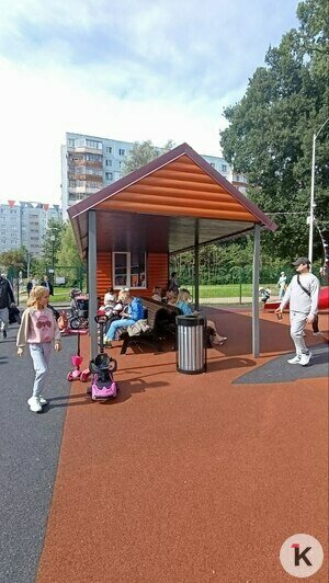 Дети не хотят уходить, родители ищут скамейки: как устроена новая площадка с драконом в парке Макса Ашманна (видео)   - Новости Калининграда | Фото: «Клопс»