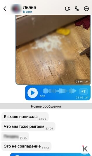 «Этот праздник мы точно не забудем»: в Калининграде приостановил работу детский центр, после того как гости заразились вирусом - Новости Калининграда | Скриншот переписки: архив Виктории