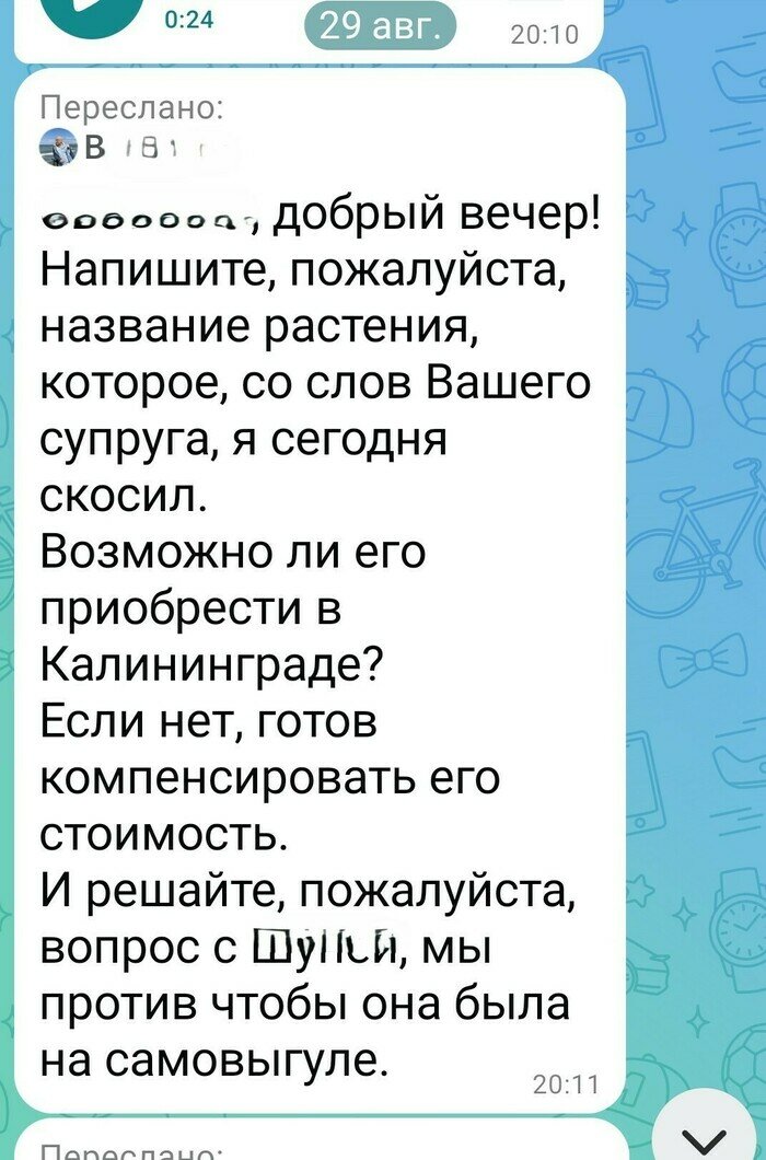 Скриншот сообщения Владимира