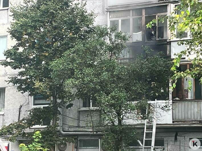 Пожарные выбрасывали сгоревшие вещи: в центре Калининграда загорелся балкон жилого дома (фото, видео) - Новости Калининграда | Фото: «Клопс»