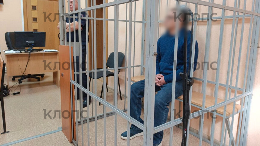 Суд продлил арест водителю, насмерть сбившему  в Прибрежном малыша: что ещё известно о виновнике ДТП (видео) - Новости Калининграда | Фото: «Клопс»