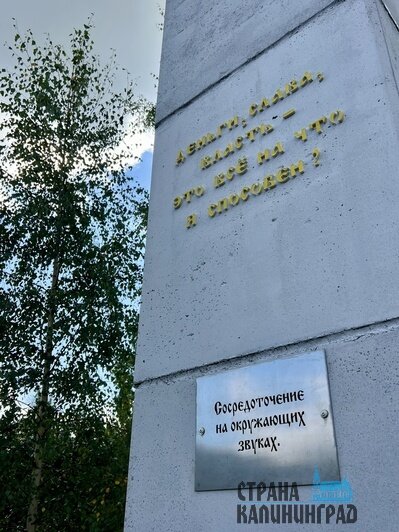 Прогулка-медитация по площадке со столбами дает возможность замедлиться и подумать | Фото: автора