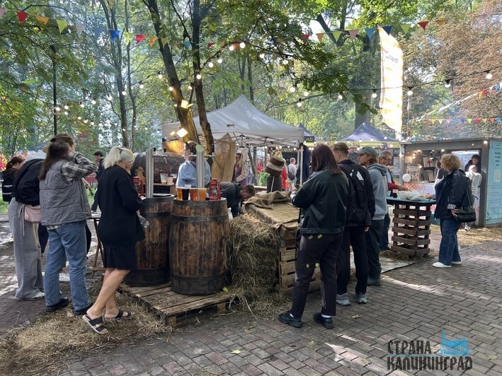 Для отдыха сделали площадки | Фото: автора