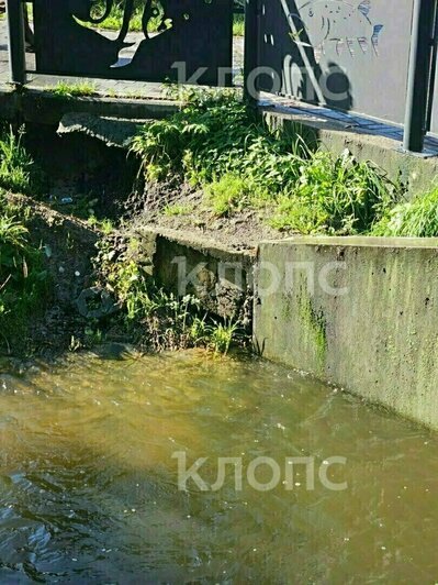 Утопленник в Преголе, неистовые ливни и машины в кювете: 10 событий, которые обсуждали в выходные (фото)    - Новости Калининграда | Фото: очевидцы 