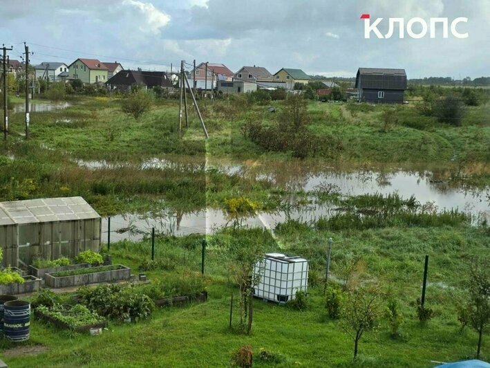 Утопленник в Преголе, неистовые ливни и машины в кювете: 10 событий, которые обсуждали в выходные (фото)    - Новости Калининграда | Фото: очевидцы