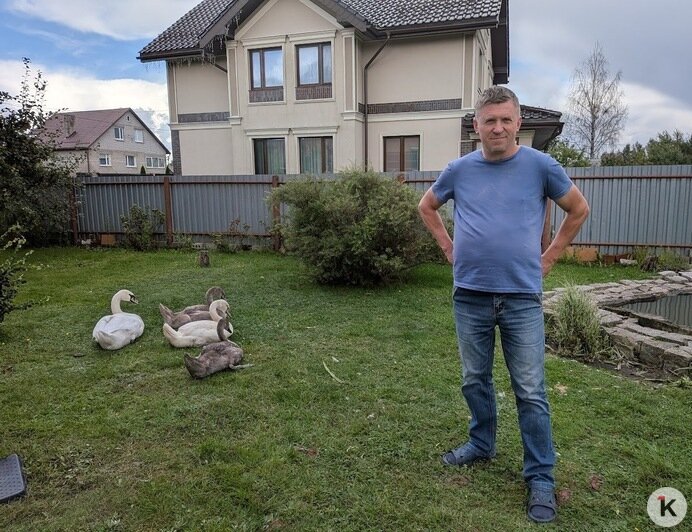 Четыре малышки: семья волонтёра «Биосферы Балтики» приютила у себя дома в Волочаевском осиротевших лебедят (фото)   - Новости Калининграда | Фото: «Клопс»