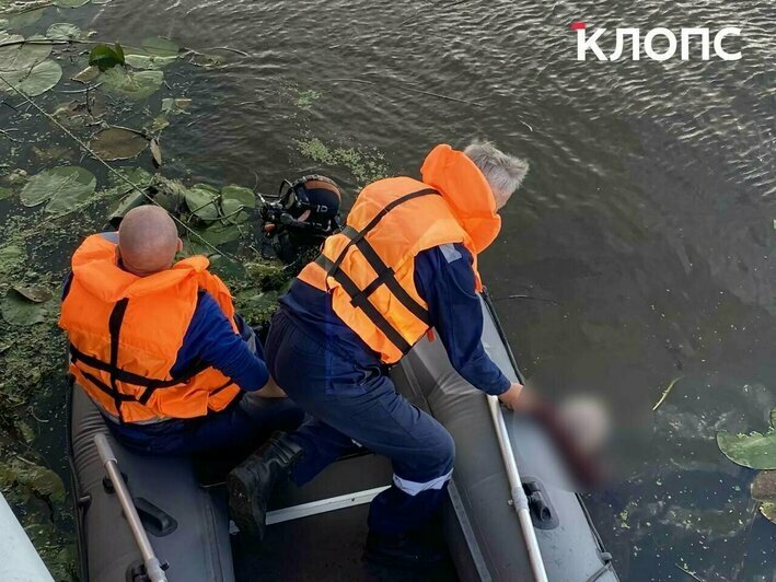 Утопленник в Преголе, неистовые ливни и машины в кювете: 10 событий, которые обсуждали в выходные (фото)    - Новости Калининграда |  Фото: очевидец