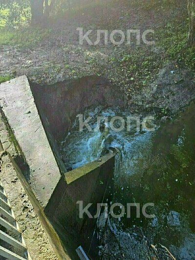 Утопленник в Преголе, неистовые ливни и машины в кювете: 10 событий, которые обсуждали в выходные (фото)    - Новости Калининграда | Фото: очевидцы 
