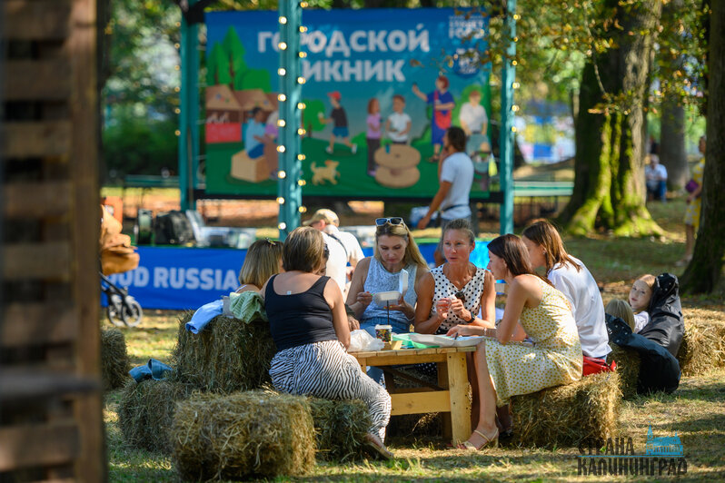 Идем на "Городской пикник", едем на концерты и Дни города! | Фото: архив "СК"