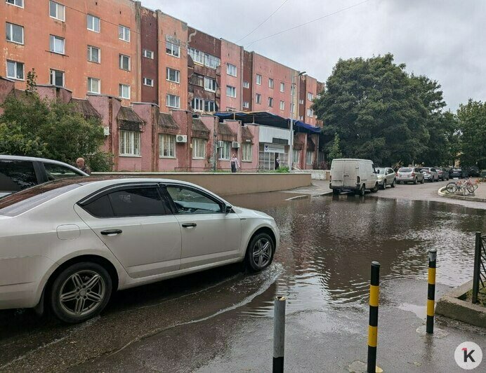 До поликлиники — вплавь или через забор: дождь поставил калининградцев перед нелёгким выбором (фото, видео)  - Новости Калининграда | Фото: «Клопс»