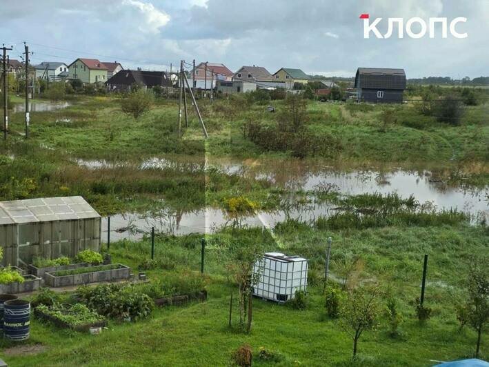 Ливни превратили дорогу в русло: в Яблоневке вода топит поля и участки (фото, видео) - Новости Калининграда | Фото: очевидцы