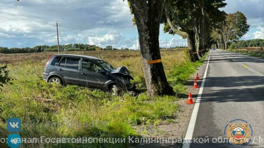 В Зеленоградском районе легковушка врезалась в дерево и вылетела в кювет - Новости Калининграда | Фото: канал Госавтоинспекции Калининградской области / Макс