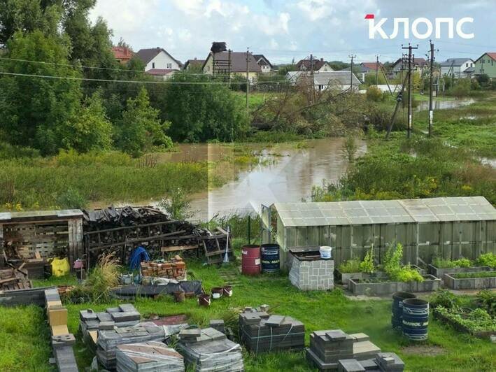 Ливни превратили дорогу в русло: в Яблоневке вода топит поля и участки (фото, видео) - Новости Калининграда | Фото: очевидцы