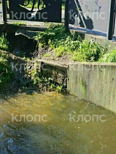 В Калининграде после ливней у Летнего озера начали размываться берега возле двух мостов (фото) - Новости Калининграда | Фото: очевидцы