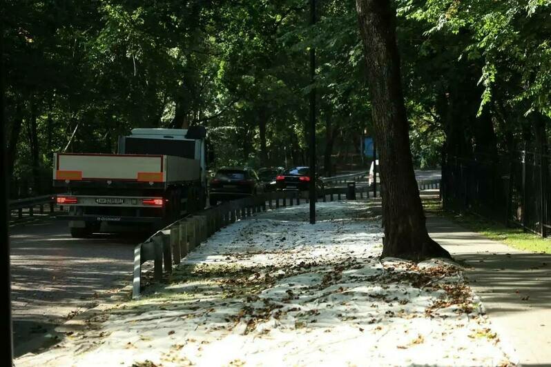 Власти показали, как защищают свежие калининградские газоны от атак птиц (фото) - Новости Калининграда | Фото: канал сити-менеджера Калининграда Елены Дятловой / Телеграм