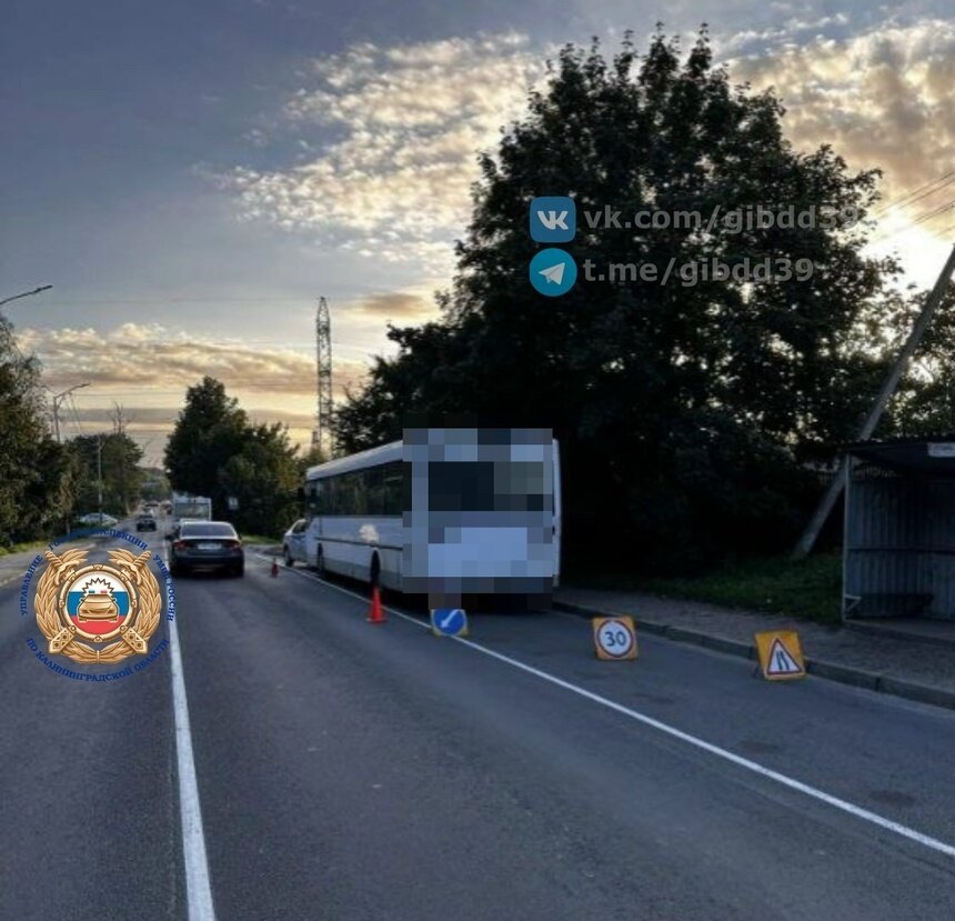 В Шоссейном пассажирка автобуса упала при отъезде от остановки и получила травмы - Новости Калининграда | Фото: сообщество Госавтоинспекции Калининградской области / «ВКонтакте»