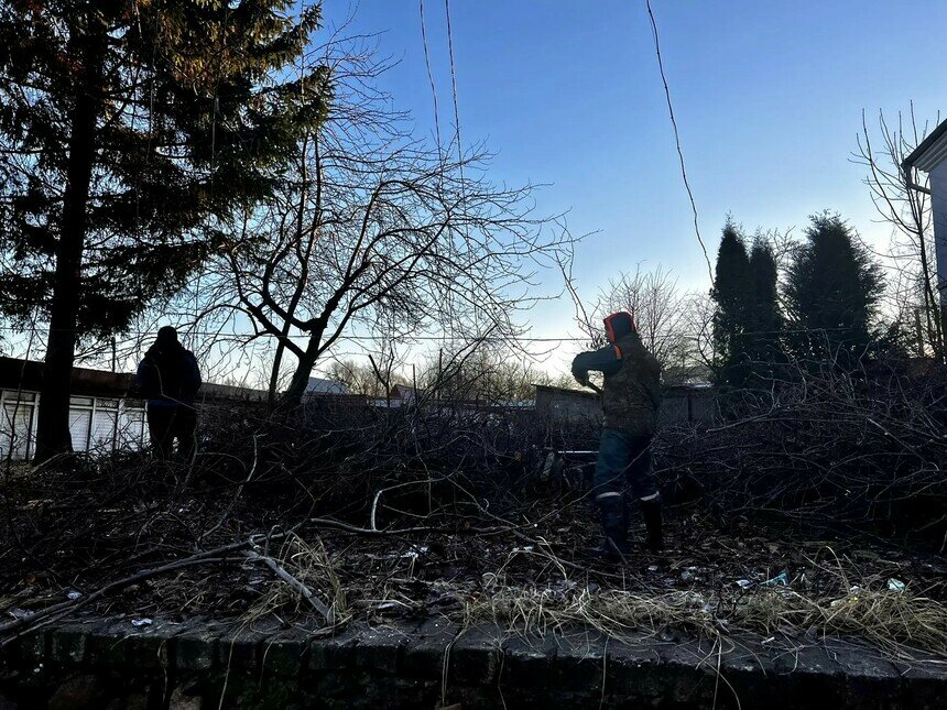 В прошлом году вокруг старого рынка Полесска расчищали деревья. | Фото: администрация Полесска
