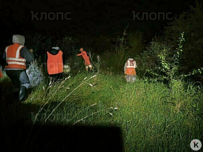 Поиски мальчика продолжались почти до полуночи  | Фото: ПСО «Запад»