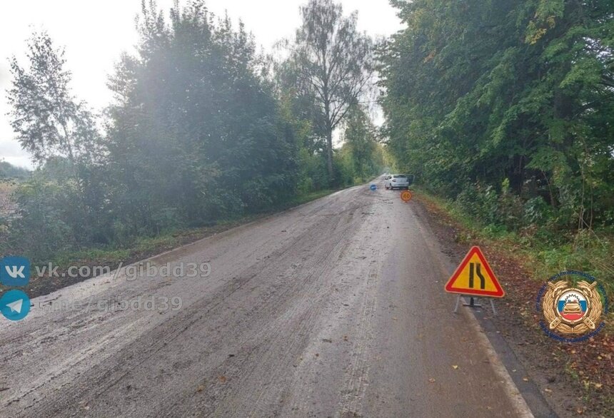 На трассе под Черняховском легковушка врезалась в дерево: пострадали трое - Новости Калининграда | Фото: сообщество Госавтоинспекции Калининградской области / «ВКонтакте»