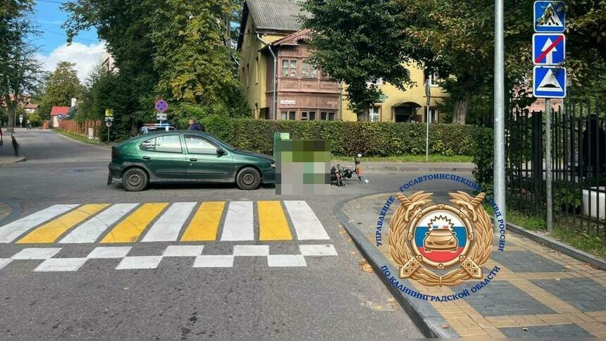 В Зеленоградске 29-летний самокатчик решил проскочить перекрёсток и оказался под колёсами Renault - Новости Калининграда | Фото: Госавтоинспекция Калининградской области