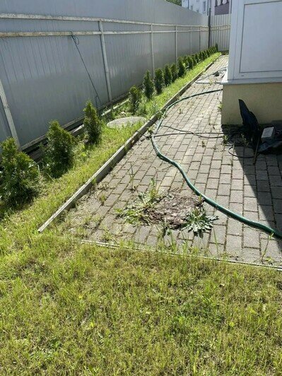 В Калининграде хозяйке участка в 8 соток запретили выезжать из страны, чтобы она навела порядок и посадила газоны - Новости Калининграда | Фото: пресс-служба УФССП России по Калининградской области