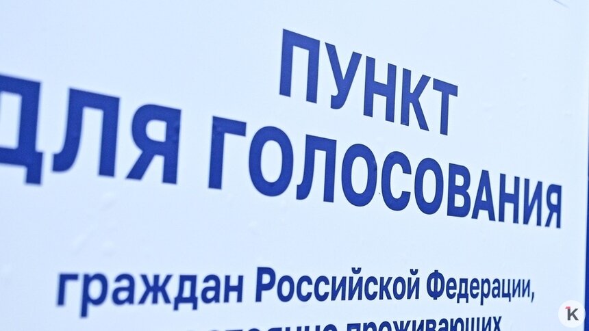В Калининградской области открылись избирательные участки на границе для живущих за рубежом россиян: фоторепортаж    - Новости Калининграда | Фото: Александр Подгорчук / «Клопс»