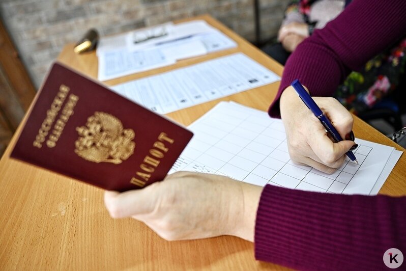 В Калининградской области открылись избирательные участки на границе для живущих за рубежом россиян: фоторепортаж    - Новости Калининграда | Фото: Александр Подгорчук / «Клопс»