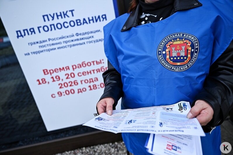 В Калининградской области открылись избирательные участки на границе для живущих за рубежом россиян: фоторепортаж    - Новости Калининграда | Фото: Александр Подгорчук / «Клопс»