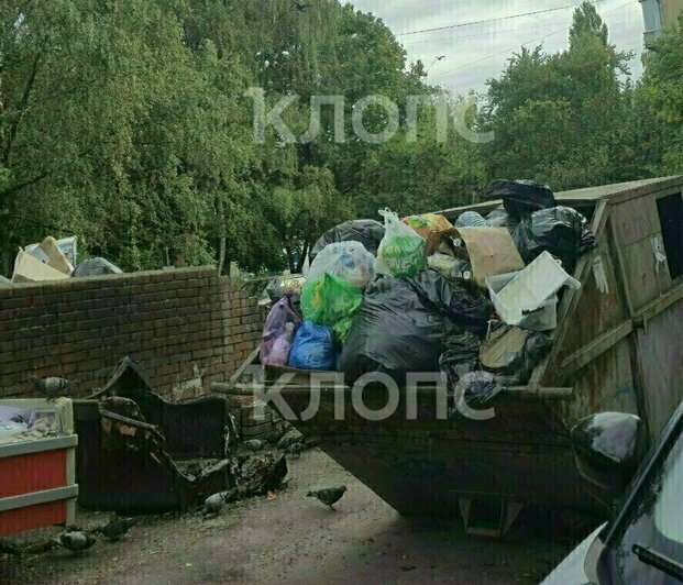 Фото сделано 7 сентября. | Фото: «Клопс»