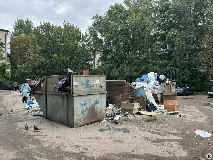 Фото сделано 10 сентября. | Фото: Александр Подгорчук