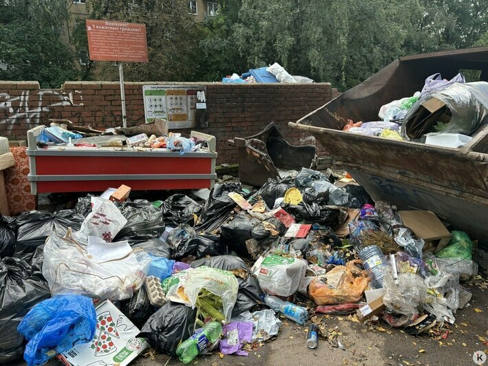 Фото сделано 10 сентября. | Фото: Александр Подгорчук