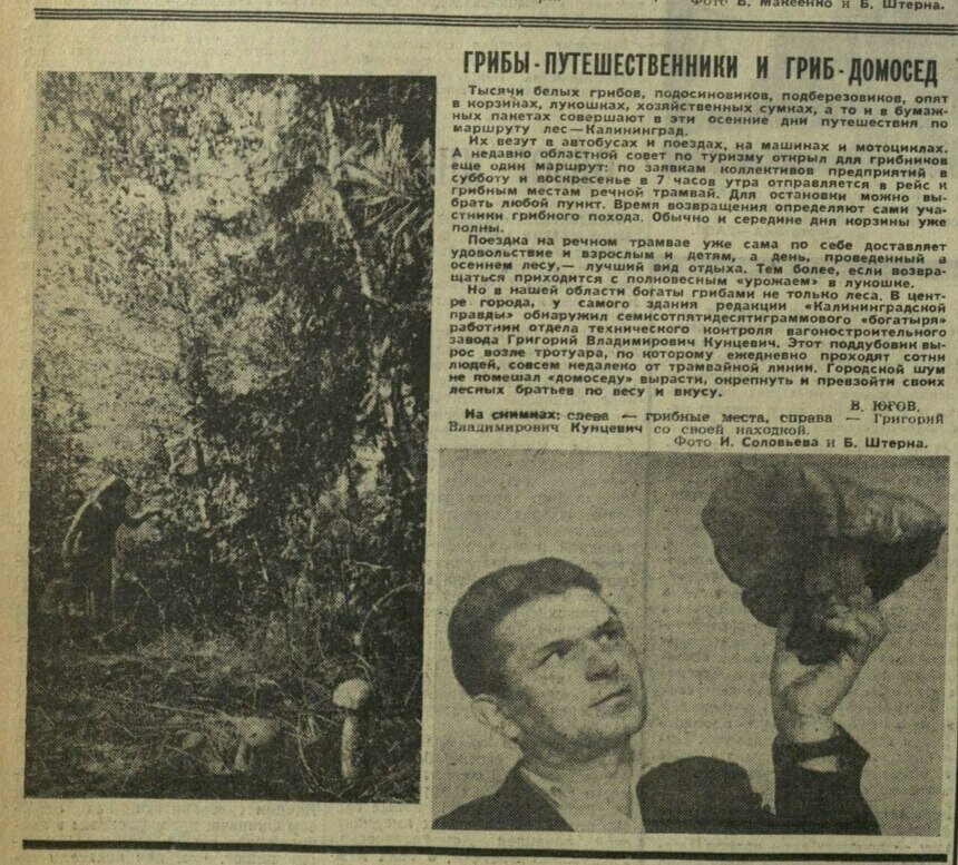 В 7 утра — за грибами по воде: как калининградцы ездили на тихую охоту в конце 60-х - Новости Калининграда | Фото: канал администрации Калининграда / Телеграм