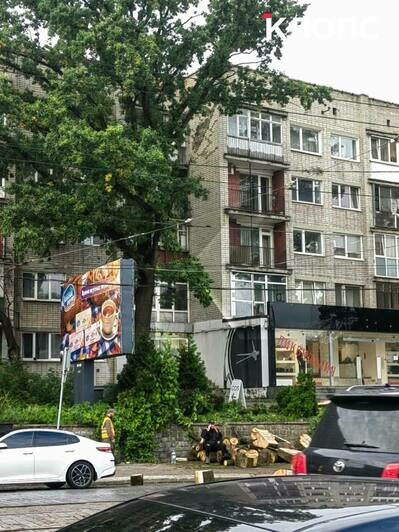 На проспекте Мира напротив «Зари» спилили огромное дерево: горожане переживают за два соседних (фото) - Новости Калининграда | Фото: очевидцы