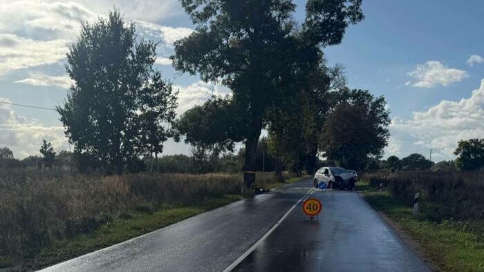 Mercedes в кювет, Citroën в дерево: на дорогах области две юные водительницы разбили своих железных коней - Новости Калининграда | Фото: Госавтоинспекция Калининградской области