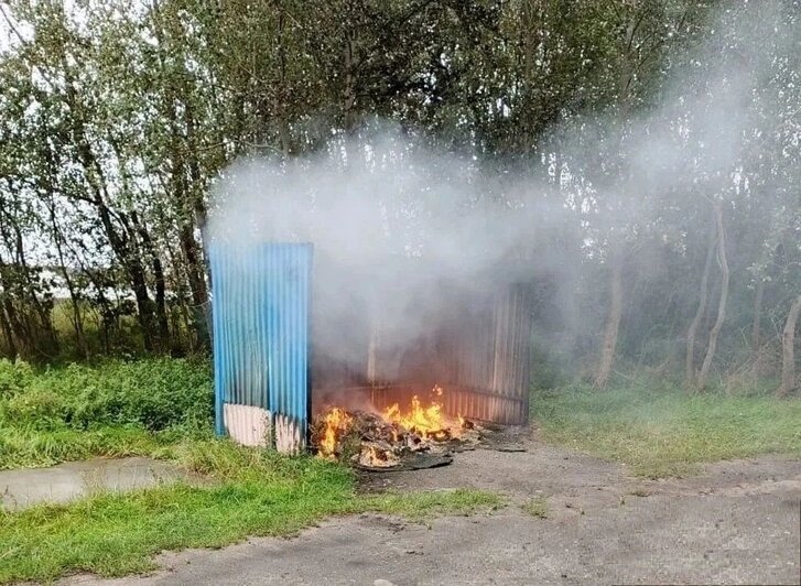 В Балтийске за неделю вандалы сожгли три мусорных контейнера: виновников ищут (фото) - Новости Калининграда | Фото: сообщество администрации Балтийского городского округа / «ВКонтакте»