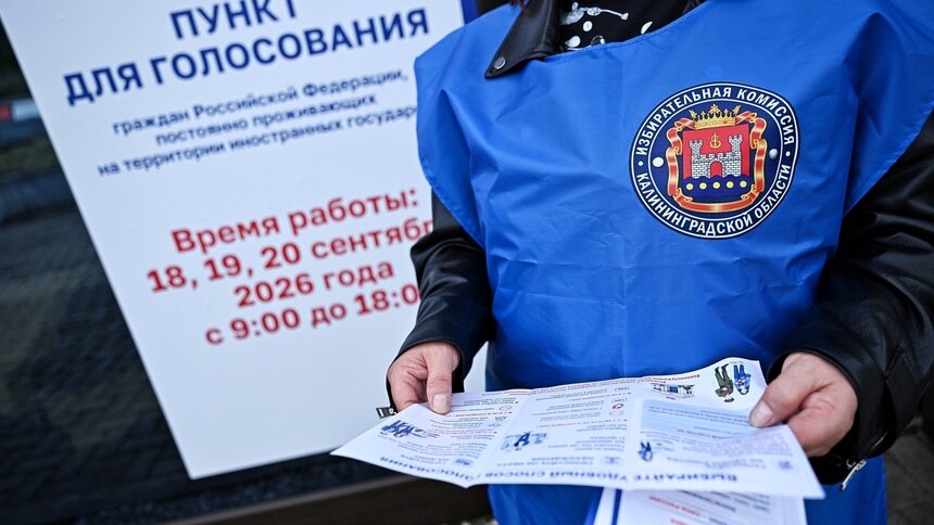 В Калининградской области на границе с Польшей и Литвой проголосовали 1,8 тыс. человек — Центризбирком   - Новости Калининграда | Фото: Александр Подгорчук / Архив «Клопс»