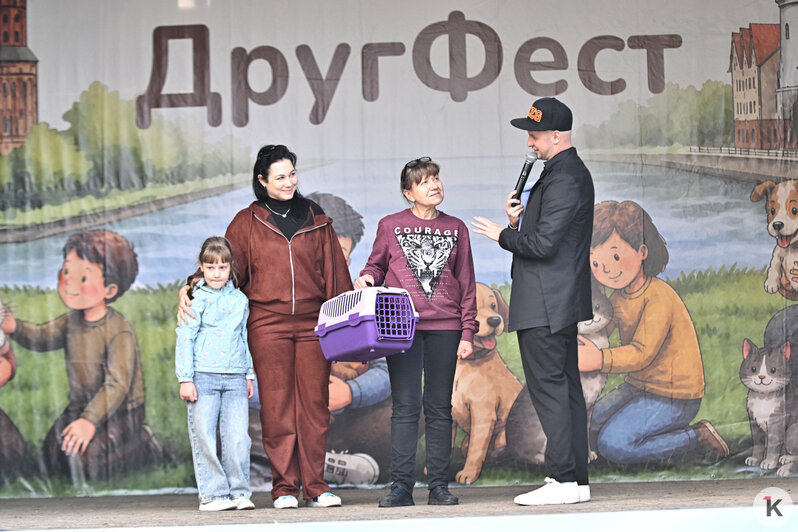 Хвостатый фестиваль: в Калининграде приюты привезли животных на «Другфест» (фоторепортаж)   - Новости Калининграда | Фото: Александр Подгорчук / «Клопс»