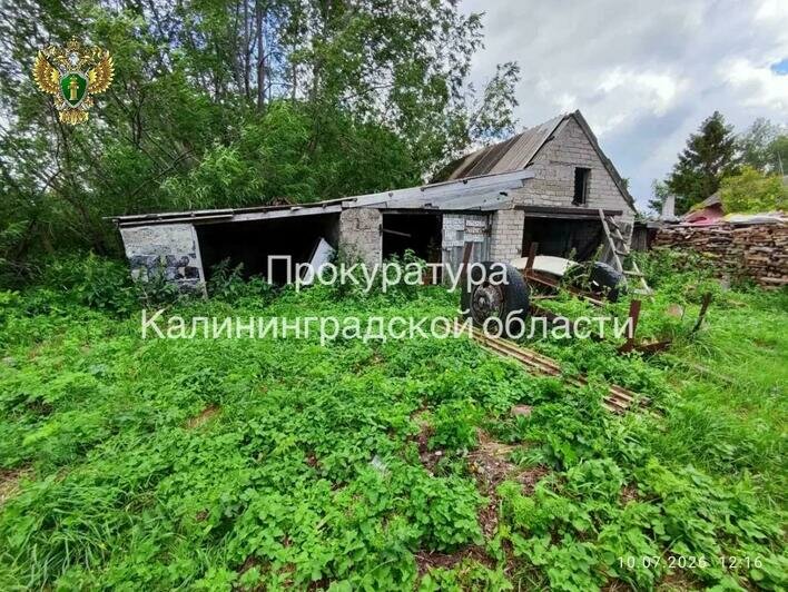 Гараж, грядки и дивный сад: у Куршского залива нашли участок, который попал в частные руки, хотя не должен был (фото) - Новости Калининграда | Фото: канал прокуратуры Калининградской области / Макс