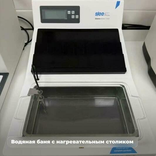 В Калининградской области начали делать большинство сложных анализов на рак и болезни крови - Новости Калининграда | Фото: канал губернатора Калининградской области Алексея Беспрозванных / Макс
