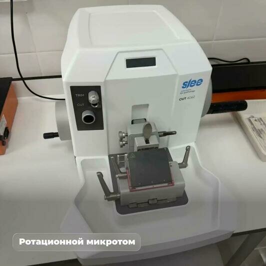 В Калининградской области начали делать большинство сложных анализов на рак и болезни крови - Новости Калининграда | Фото: канал губернатора Калининградской области Алексея Беспрозванных / Макс