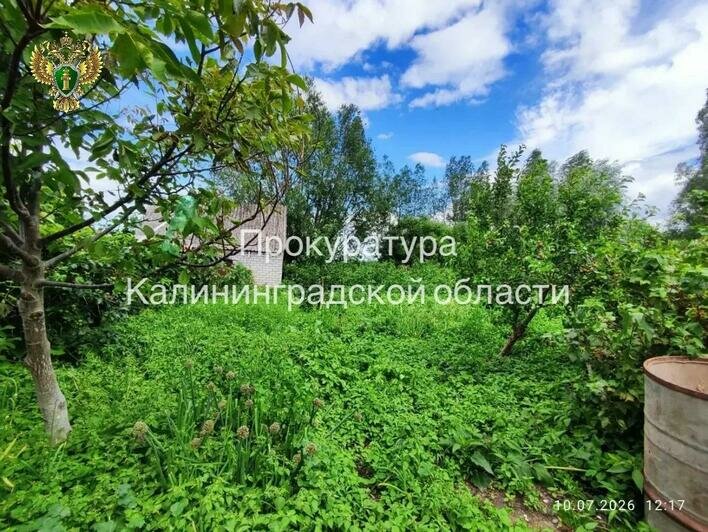 Гараж, грядки и дивный сад: у Куршского залива нашли участок, который попал в частные руки, хотя не должен был (фото) - Новости Калининграда | Фото: канал прокуратуры Калининградской области / Макс