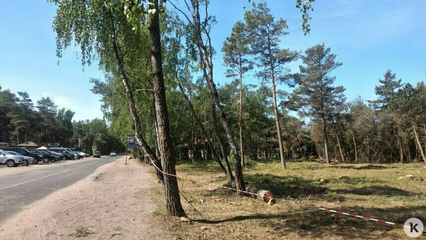 На Куршской косе стало больше индивидуальных туристов: за что штрафуют посетителей   - Новости Калининграда | Фото: архив «Клопс»