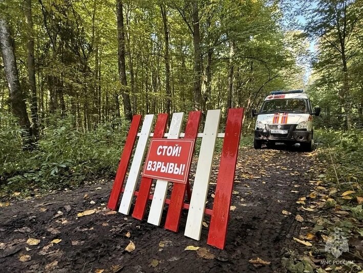 Грибник нашёл в лесу под Правдинском три немецкие авиабомбы времён войны (фото, видео) - Новости Калининграда | Фото: сообщество управления МЧС по Калининградской области / «ВКонтакте»