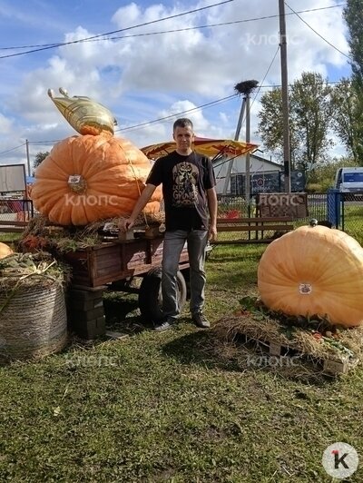 «Поднимал на лебёдках»: 37-летний калининградец вырастил тыкву в 387 кг и попал на национальную «Битву гигантов» (фото)  - Новости Калининграда | Фото: Александр