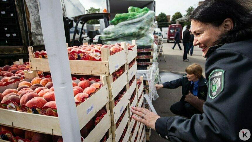 В Калининградскую область пытались ввезти более 30 тонн персиков и нектаринов с гнилью из Турции   - Новости Калининграда | Фото: Александр Подгорчук / Архив «Клопс»