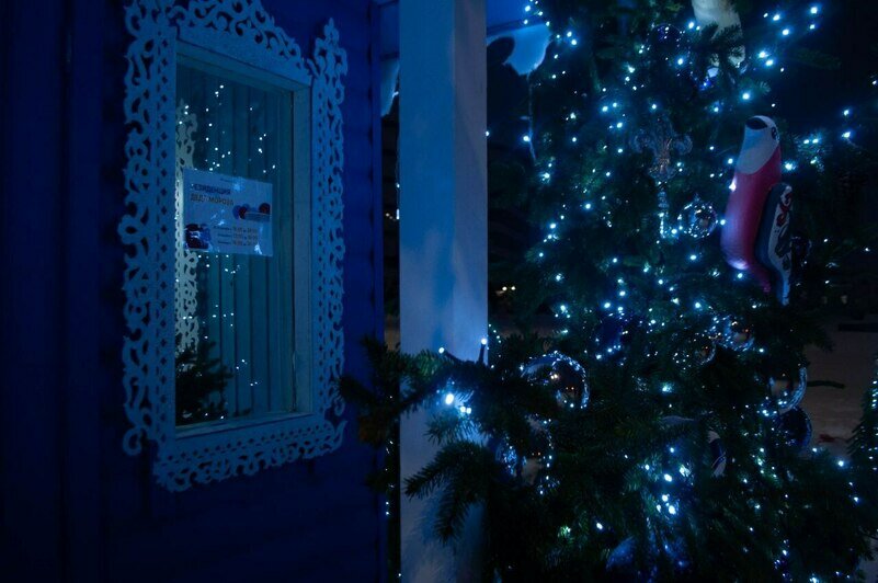 Родители ведут за руку малышей, те с интересом рассматривают игрушки, звёздочки, снежинки и сам домик. | Фото: Ксения Андреева