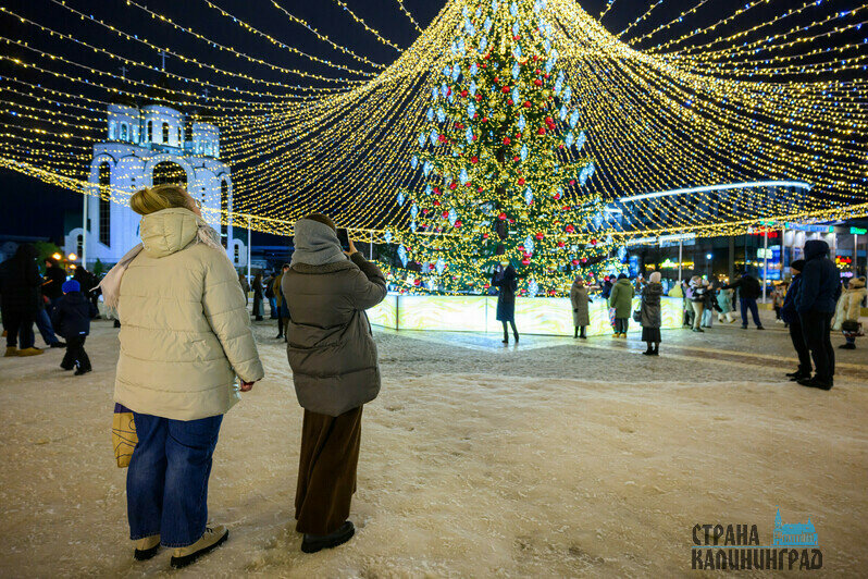 Ёлка за 49 млн рублей в Калининграде после шторма: актуальный вид (фото) | Фото: Александр Мелехов