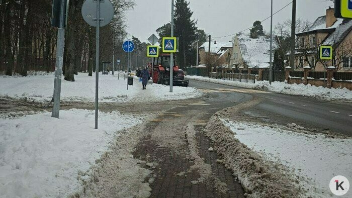 Снег не убран по всему региону: жители требуют оперативной уборки улиц и дворов в Калининграде и в области (фото) - Новости Калининграда | Фото читателя