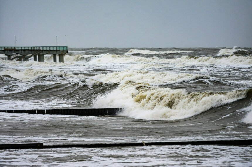Жителям и гостям приморских городов рекомендуют отказаться от прогулок в парках и лесных массивах. | Фото: Александр Мелехов